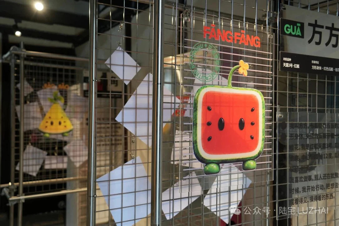 方形西瓜角色与品种展陈