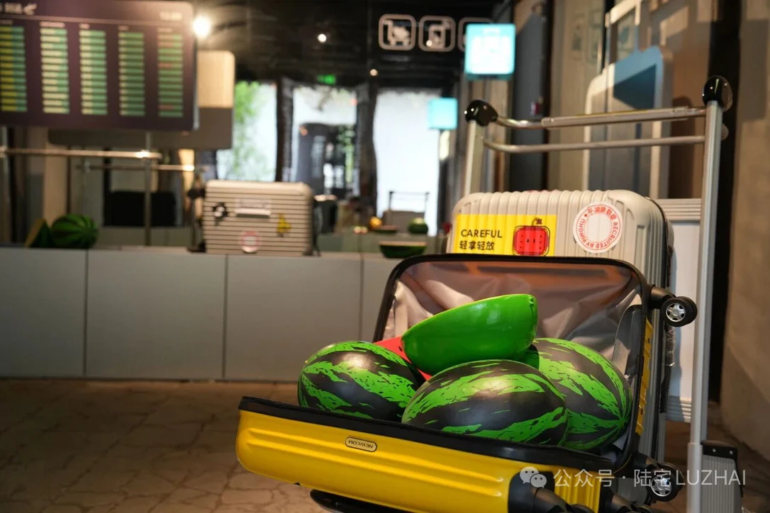 旅行箱中的西瓜展品