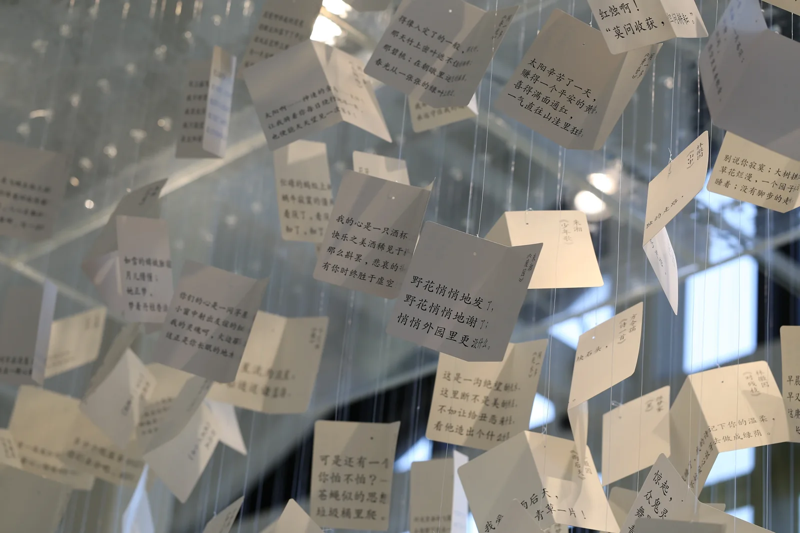 从水中诗，到诗中潮—徐志摩在海宁 15