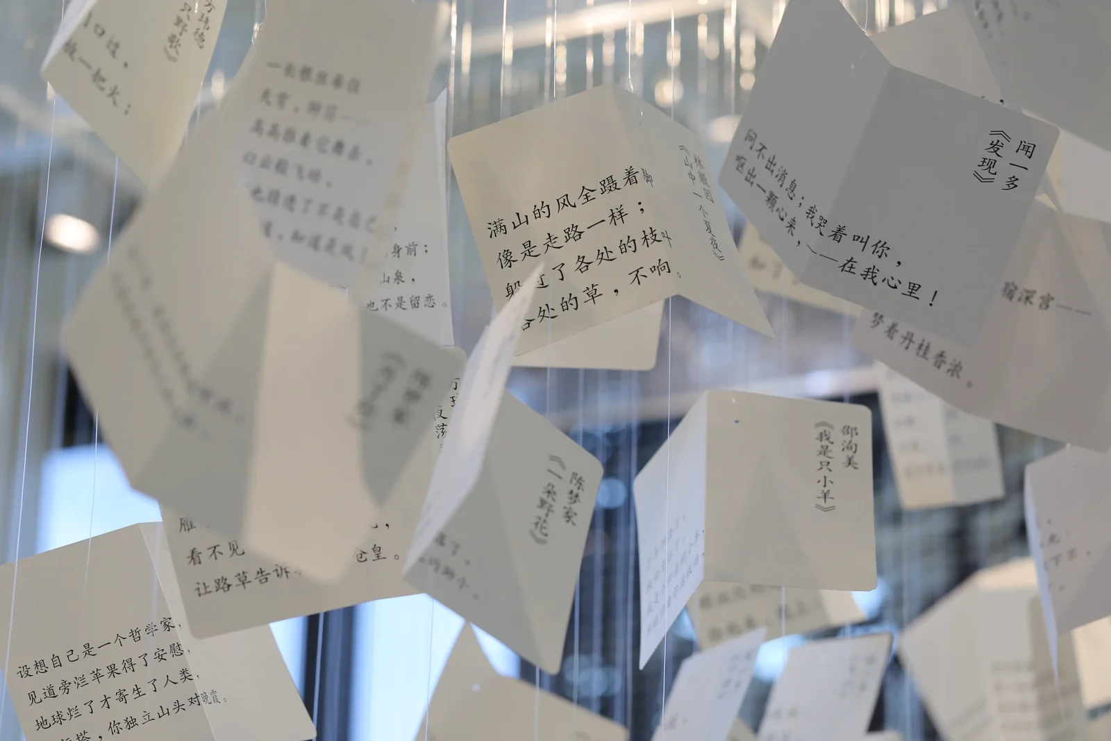 从水中诗，到诗中潮—徐志摩在海宁 16