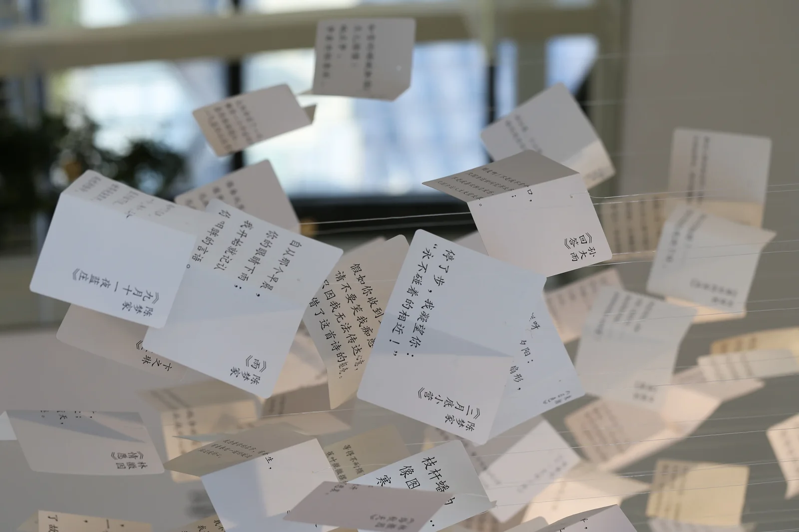 从水中诗，到诗中潮—徐志摩在海宁 17