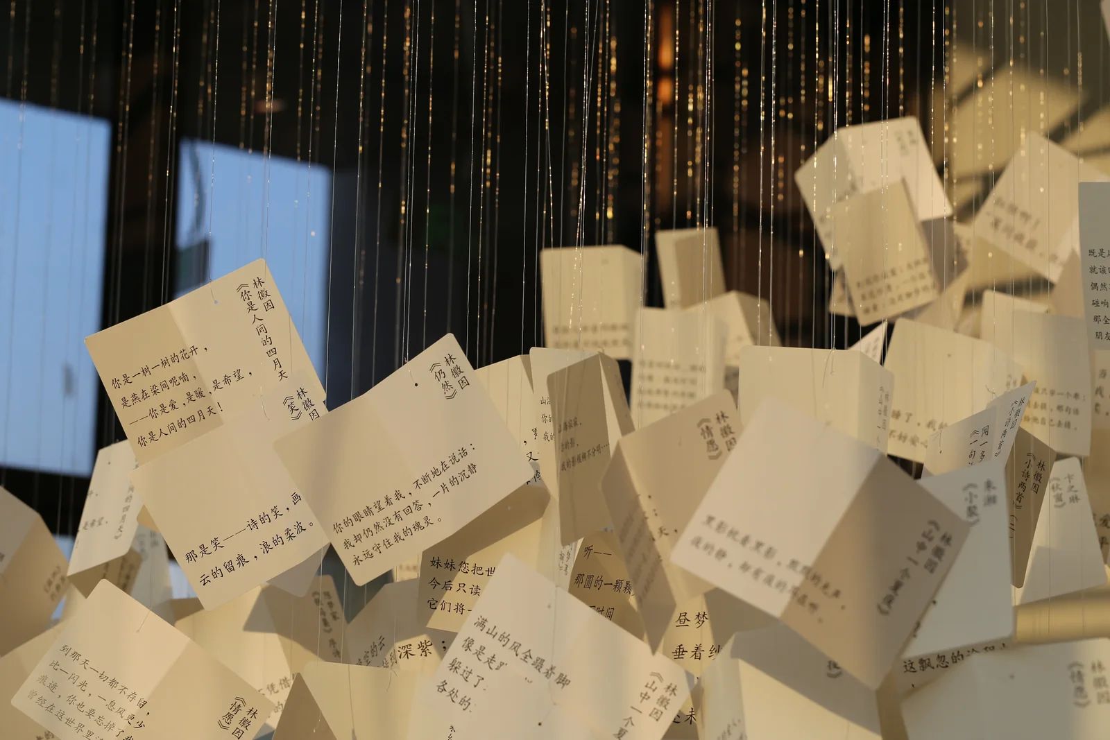 从水中诗，到诗中潮—徐志摩在海宁 33