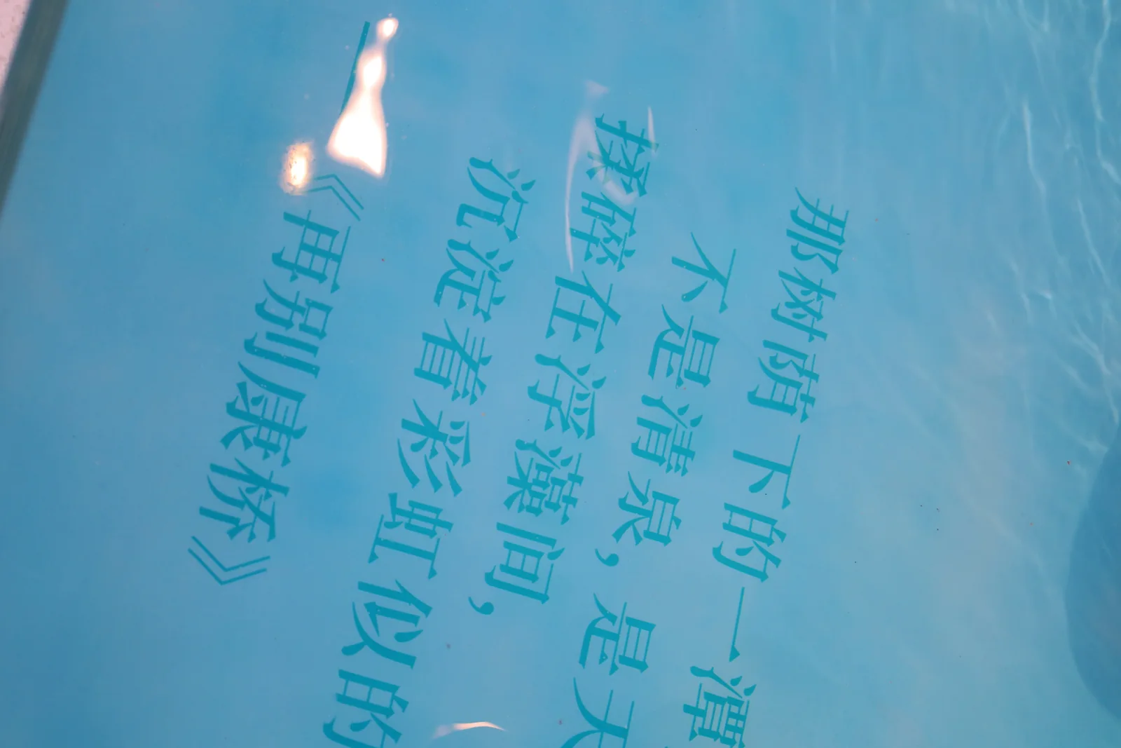 从水中诗，到诗中潮—徐志摩在海宁 43