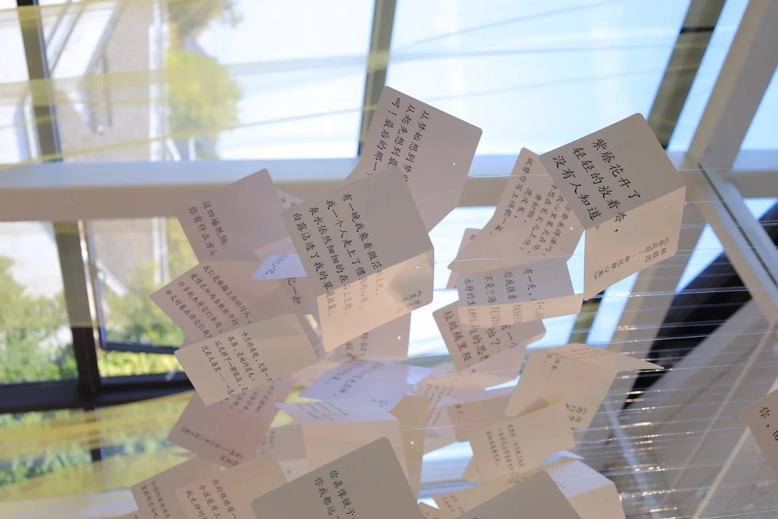 从水中诗，到诗中潮—徐志摩在海宁 58