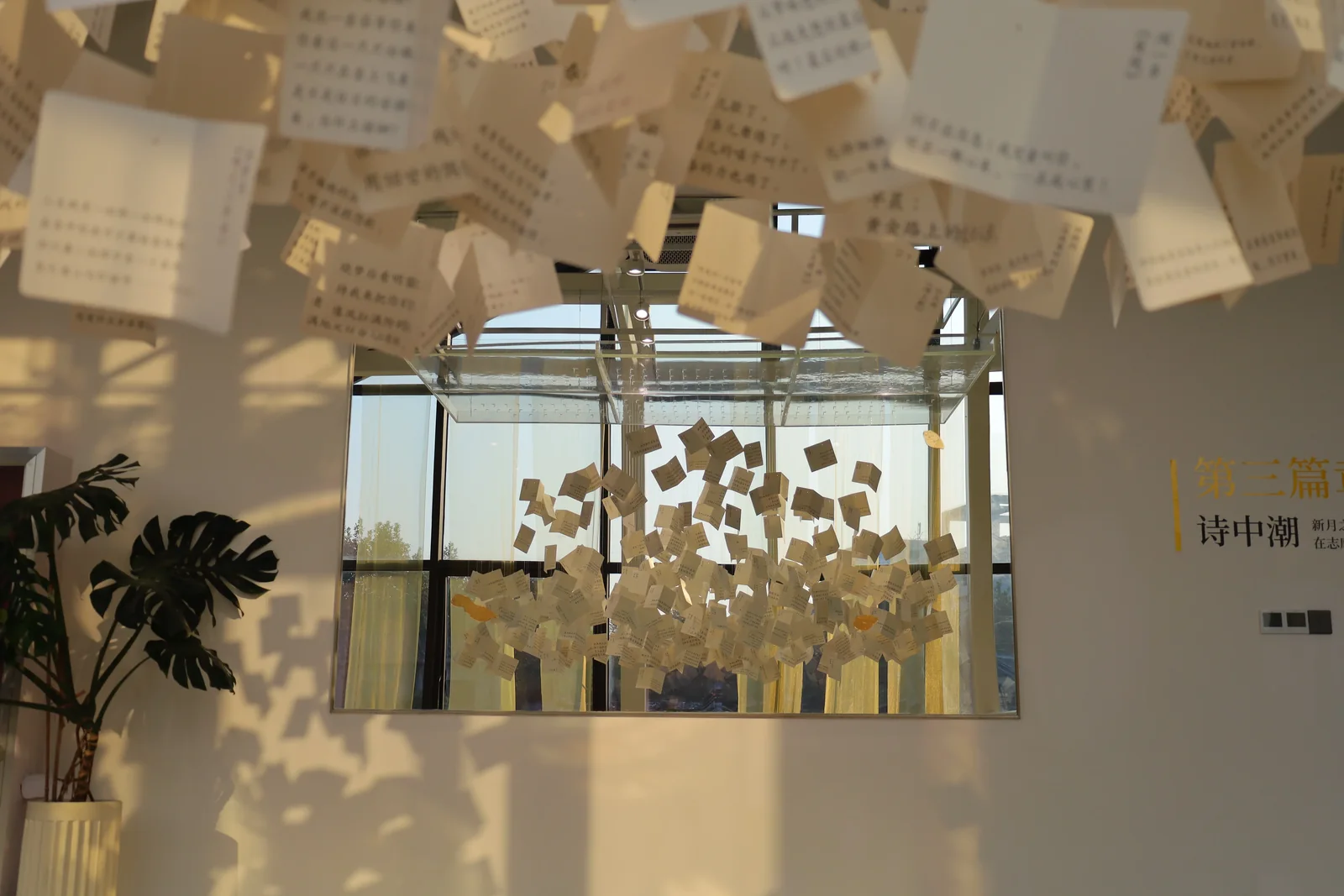 从水中诗，到诗中潮—徐志摩在海宁 85